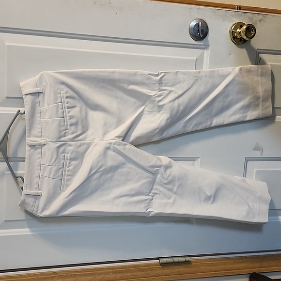 Capris - Picture 3 of 3